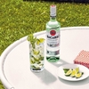 RƯỢU BACARDI