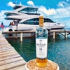 RƯỢU MACALLAN 15