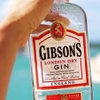 RƯỢU GIN GIBSON’S