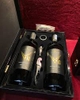 Rượu Vang Đỏ V10 Primitivo (VANG Ý)