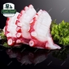 Bạch Tuộc Nhật sashimi