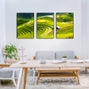 103PA Tranh Treo Tường CanVas Ruộng Bậc Thang Tây Bắc