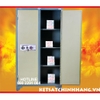 Tủ sắt trusafe 2 Cánh khóa cơ