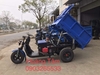 Xe điện lái vô lăng