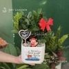 Kim tiền Mã đáo thành công [Chậu V16]