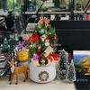 Set Merry [Tông Đỏ] Size M
