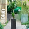 Chậu Ximang Trụ Vuông [Square Concrete Tall Planter] (D30H60)