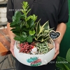 Tiểu cảnh Kim Tiền Cát Tường