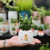 Chậu Thú Mini [Animal Succulent Planters]