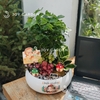 Tiểu Cảnh Ngôi Nhà Hạnh Phúc