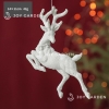 Tuần Lộc Trắng/ White Reindeer