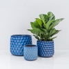 Chậu Kim Cương L [Vintage Planter] (D32H32)