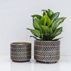 Chậu Trụ Kẻ Đen L [Black Striped Pot] (D33H26)