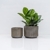 Chậu Trụ Kẻ Đen M [Black Striped Pot] (D26H22)