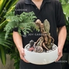 Tùng Bồng Lai Ôm Đá