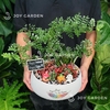 Tiểu cảnh Nhà Trong Rừng