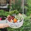 Tiểu cảnh Thỏ và Cà rốt