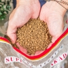Akadama Ryusen Super Hard (Nguyên bao 9.5kg) - Nhập khẩu Nhật Bản - Chuyên dùng cho Bonsai, Sen đá | Joy Garden