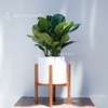 Đôn gỗ [Wooden Plant Stand] (D31H35 Caramel)