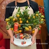Quất hoàng kim Tài Lộc [DN23]