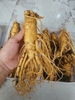 Sâm tươi nguyên củ hàn quốc hộp 1kg loại 5 củ
