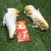 Giày Bóng Đá Adidas Nemeziz 19.1 Xanh Ngọc FG