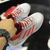 Giày Bóng Đá Adidas Predator 19.3 Bạc Vạch Đỏ TF