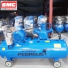 may-nen-khi-pegasus-tm-w-0-36-12-5-230l-380v