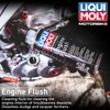 Chai súc động cơ Liqui Moly Engine Flush 250ML