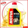 Nước làm mát Motul vàng Tem 3 lớp nhập khẩu Pháp dung tích 1L