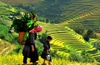 hai-phong-lao-cai-sapa