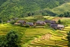 hai-phong-lao-cai-sapa