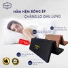 Nệm bông ép cao cấp