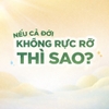 Nếu cả đời này không rực rỡ thì…