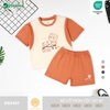 Bộ cổ tròn cộc tay BT