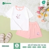 Bộ cổ tròn cộc tay BG (6-36M)