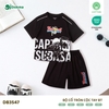 Bộ cổ tròn cộc tay BT