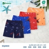 Quần bơi cộc BT + mũ (2-6Y)