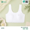 Áo lá BG (80A-85A)