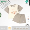Bộ cổ tròn cộc tay BT