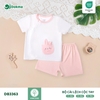 Bộ cài lệch cộc tay (1-9M)