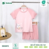 Bộ cổ tròn cộc tay (6-36M)