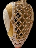 cup-su-venetian-whisper-loi-thi-tham-tu-venice