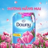 Downy Nước Xả Vải Đậm Đặc Chuyên Dụng Thơm Hương Nắng Mai 3L Túi