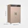 Két Sắt Thông Minh KASSLER KL-100LS7 GOLD SAND