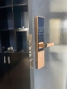 Khóa Điện Tử KASSLER KL-567 CNC GOLD APP TTlock