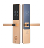 Khóa Điện Tử KASSLER KL-567 CNC GOLD APP TTlock