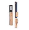 Khóa Cửa Điện Tử KASSLER KL-988 CNC CHAMPAGNE GOLD APP Tuya