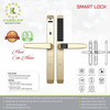 Khóa Điện Tử KASSLER KL-599TD CHAMPAGNE GOLD APP