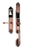 Khóa Điện Tử AVOLOCK AC-8812R-G